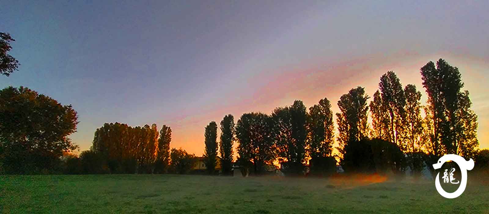 Padova Noventa Padovana, Saonara, Tombelle, Vigonovo corsi di Tai Chi, Bagua Zhan, QiGong, DaoYin, Ginnastica posturale e ginnastica del benessere e antalgica.