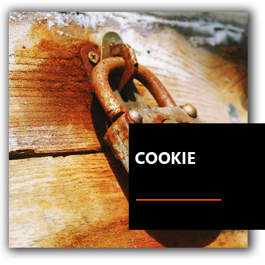 Cookie - A.S.D. Drago Azzurro
